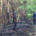 Dua Titik Api Muncul di Aburan Batang Tebo