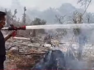 Kebun Sawit di Belakang Hotel Alya Tebo Terbakar, BPBD Kerahkan 9 Personel TRC