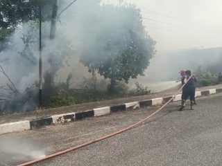 Hari Ini, Dalam Sejam Dua Titik Terbakar di Tebo, Total Karhutla Tembus 59,4 Hektare