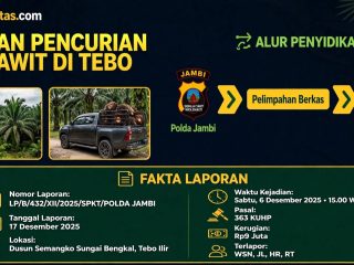 Kasus Dugaan Pencurian TBS Rp9 Juta di Tebo Dilimpahkan Polda Jambi ke Polres