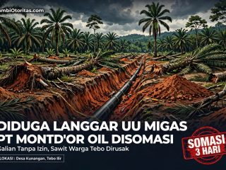 Diduga Langgar UU Migas, PT. Montd’Or Oil dan PT. Olindo Disomasi Buntut Perusakan Sawit Warga Tebo