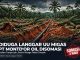 Diduga Langgar UU Migas, PT. Montd’Or Oil dan PT. Olindo Disomasi Buntut Perusakan Sawit Warga Tebo