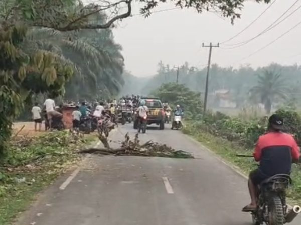Warga Emak-emak Hadang Jalan Pakai Pelepah Sawit, Protes PETI di Sumay Memanas Lagi